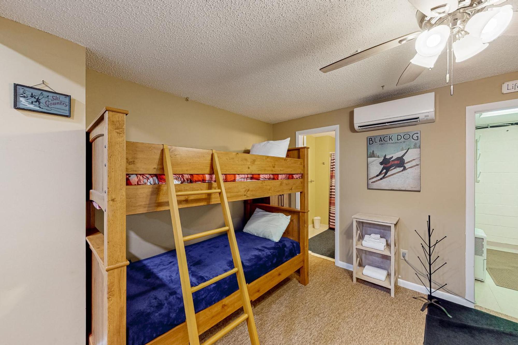 Leinemann Ski Haus McHenry Room photo
